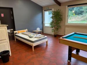 Appartements La Moine : photos des chambres