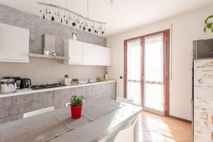 Carducci work & business