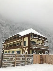 Pensiunea Tihna - مونتيليه ميك