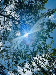 Reserva Natural Bosque del Colibri