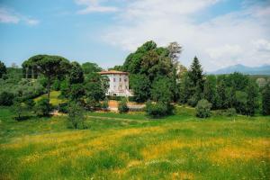 Villa Bianca charming Tuscany house with pool