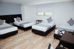 Hotel Palmas del Estadio