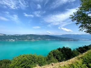 Appartements Studio moderne et lumineux centre ville Aix les Bains : photos des chambres