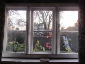 Come and Stay in our Charming Cottage