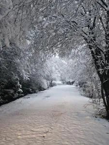 El Cerrillo II - Navadijos