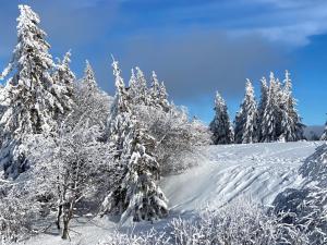 Appartements Studio moderne et lumineux centre ville Aix les Bains : photos des chambres