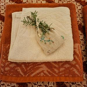 B&B / Chambres d'hotes Le Lion de Brenne : photos des chambres