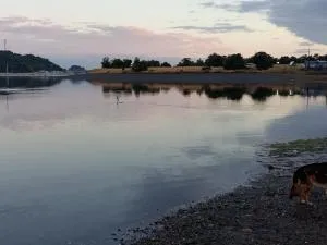 Cabañas jo - Queilén