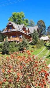 Domek Kojsówka - Witów