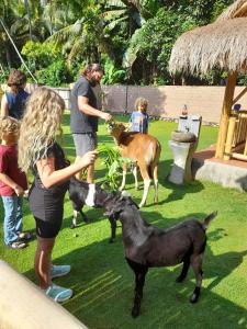 Camplung Beach Villa and Farmstead