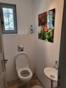 Villas Villa Doce Lar : photos des chambres