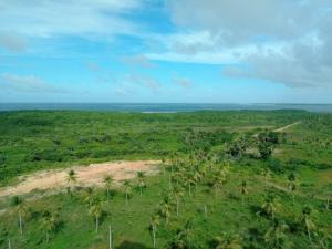 Salinas Exclusive 1304 BL 1