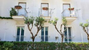 Double or Twin Room with Balcony