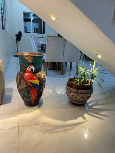 Casa Festival de Parintins 2025 com vista para o Bumbodromo