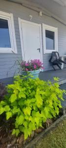 RESET domki letniskowe