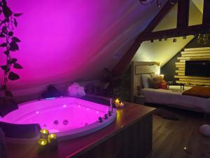 Appart Cosy avec SPA privatif proximité Lille, Le Chalet