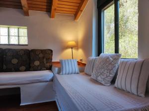 Casa Rural Maximon Apto Verde