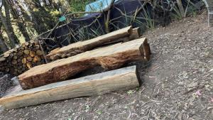 Mindfulness Glamping, Retiro de Yoga, Todo Incluido