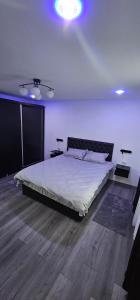 Mire Studio