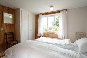 Apartment im Chalet Speer
