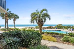 Pelican Walk 110