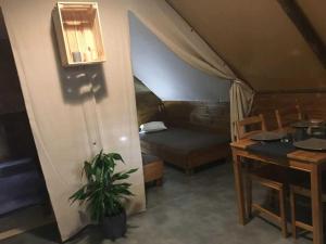 Campings Camping 4 etoiles - Piscine - ccaaeah : photos des chambres
