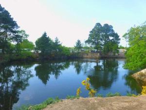 Campings Camping 4 etoiles - Piscine - ccaaeah : photos des chambres