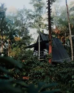 Nomad's Arc Wayanad - Begūr