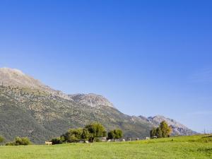 Cubos Casa Rural Los Lirios & Albahaca del Libar