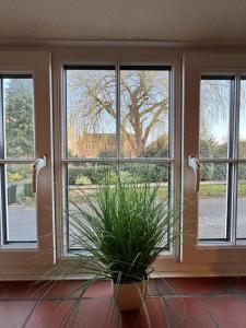 Oakrooms