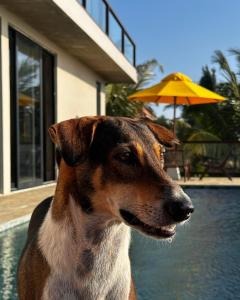 Stonewater Beach Villa, Negombo