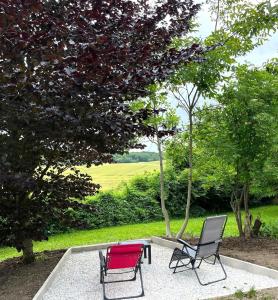 B&B / Chambres d'hotes La Demeure d'Othe : photos des chambres