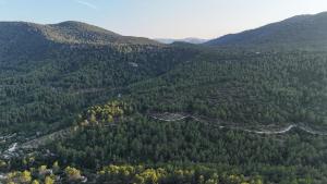 La colline