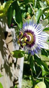 Maisons de vacances Maison Independante Climatisee a Deux Pas des Plages, Confort et Detente Assures : photos des chambres