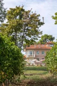 Villa Yeppa - Morciano di Romagna