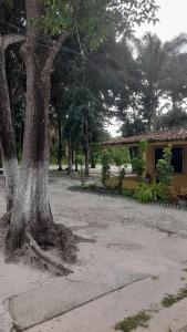 sitio fortaleza meireles moura