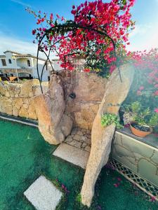 Villa red bouganvillea