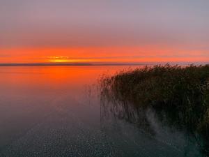 Watermark Usedom - Premium Ferienhaus direkt am Wasser mit eigener Badestelle