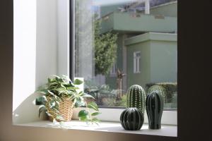 Downtown Refuge Camões