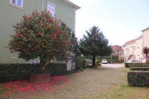 Downtown Refuge Camões