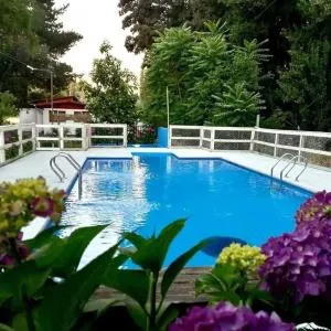 Los Vientos Del Laja - Chillán