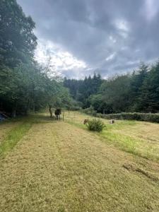 chalet cosy au calme