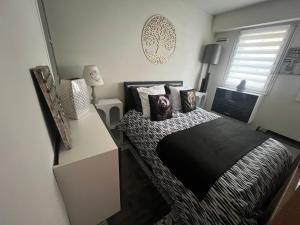 Appartements Studio haut de gamme : photos des chambres