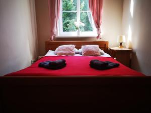 Rooms Close to Everywhere I