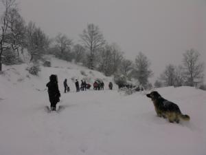 Petrino Pentolvio Kastoria Greece