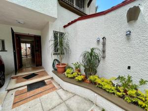 Cancun Casa