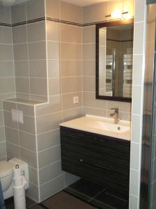 Appartements luxury F2 swimming pool ponds and sea : Appartement 1 Chambre