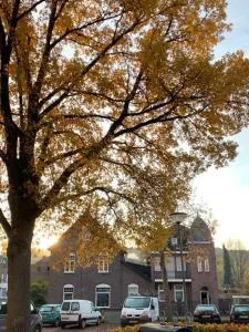 Oud kloosterhuis in Rimburg - 兰德赫拉夫