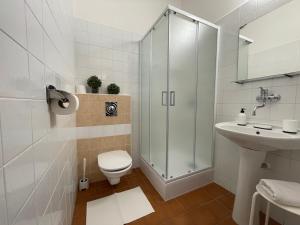 Superior Double Room room in Penzion Landauer