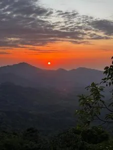 Miterio Mundo Nuevo - 米卡